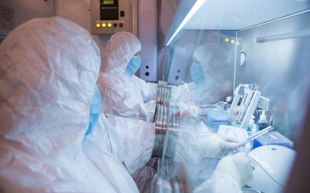 Russian anti-plague lab researcher dies of illness with ‘unknown’ origin
