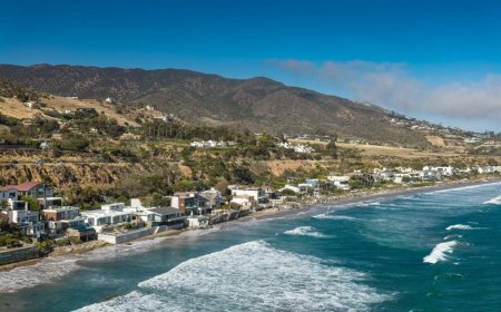 Shark attacks kayaker off Paradise Cove in Malibu, authorities say