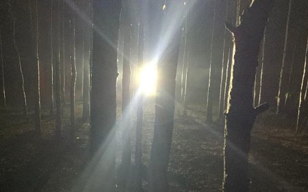 Country boys in Kentucky hear knocks in woods at night before one catches glimpse of Bigfoot with spotlight