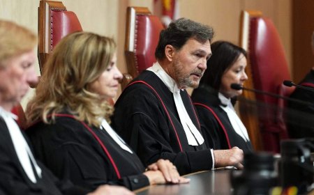 Chief justice says democratic institutions must be protected