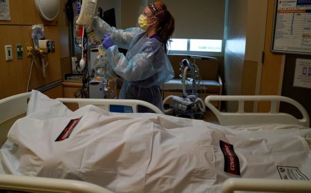 Explosive Fraud Report: Medicare Provider Billed Taxpayers $165K for Transporting Dead Patient