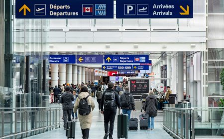 In the age of AI, why Canadian travel agencies just saw revenues rise