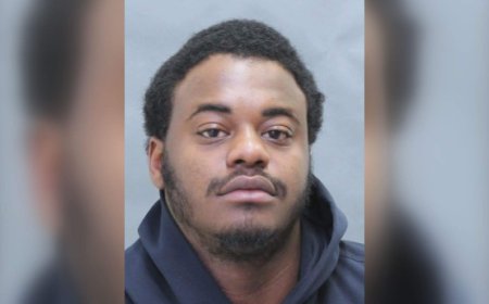 Toronto pair charged for fatal vehicle fire, 1 suspect wanted