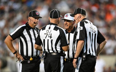 NFL referees Jeff Seeman and Adrian Hill suspended after unprofessional clashes with players in Week 4