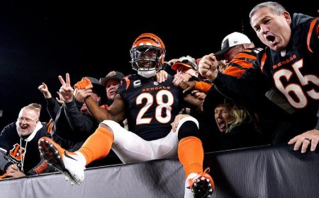 Seattle Seahawks throw Joe Mixon another chance in the NFL following backfield disaster