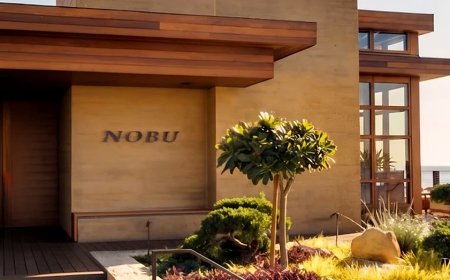Nobu chef killed after teen driver crashes into parked car in California