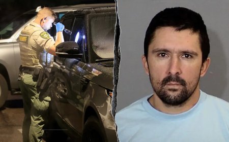 Luke Daley, briefly detained in Nancy Guthrie disappearance probe, arrested again