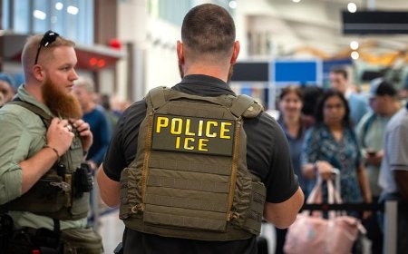 Blue city emerges as 'suspected hotspot' of visa fraud as swing state lawmaker demands answers