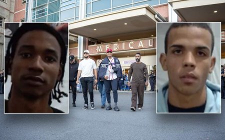 Suspects wanted for stabbing of off-duty NYPD detective are illegal aliens with long criminal histories