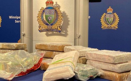 Winnipeg drug bust yields $1.5M worth of cocaine: police