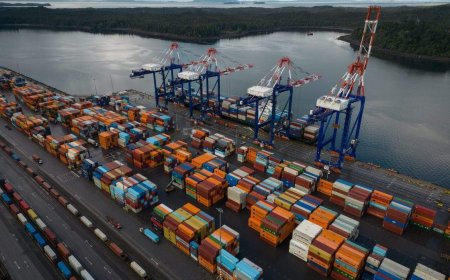 Exports to the U.S. spiked in August before Trump’s 50% tariffs: StatCan
