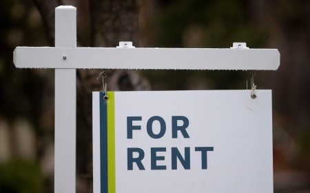 Rents in Canada have fallen for 24 consecutive months, report says