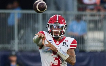 Stamps, Lions can clinch playoff berths with wins