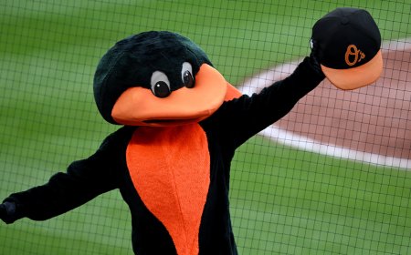 New report claims that Orioles latest round of layoffs was so brutal not even the mascot was safe