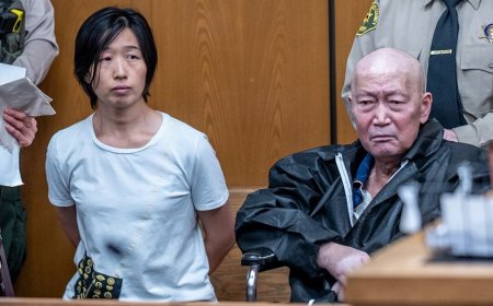 California couple charged with abusing 14 surrogate-born children inside $10M Los Angeles mansion