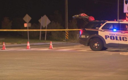 ‘Turn yourself in’: Police urge driver in Vaughan fatal hit-and-run