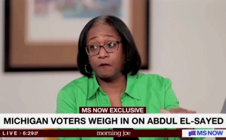 Black voters, Jewish Democrats in Michigan wary of voting for El-Sayed, say 'he's taking advantage'