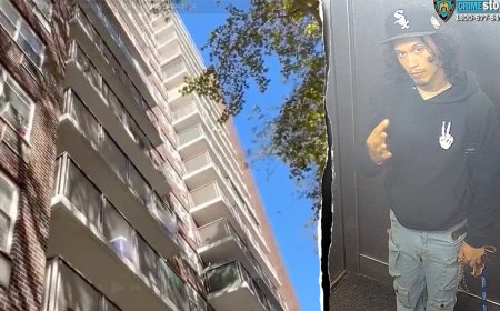 Mom dies shielding baby in horrific 15-story Bronx fall as police hunt suspect: report