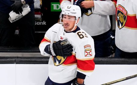 Fans are wondering if Florida Panthers are cursed as another star exits game Wednesday night