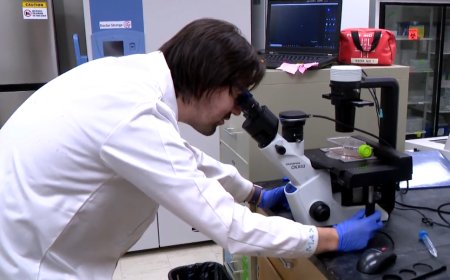 USask professor recognized for pediatric stem cell research