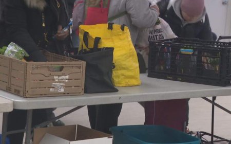 1 in 3 food banks, shelters forced to turn away people due to demand: survey