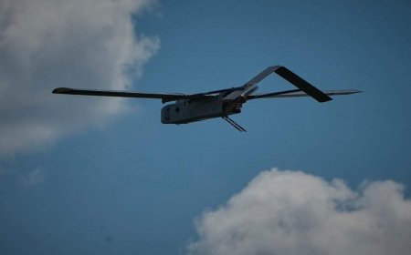 Countering drones is ‘critical’ as warfare evolves, Canada’s military says