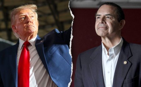Trump calls Democrat he pardoned a 'loser' for not switching parties