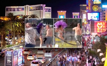 Las Vegas showgirl allegedly beats tourist with high heel after $20 photo tip sparks brawl