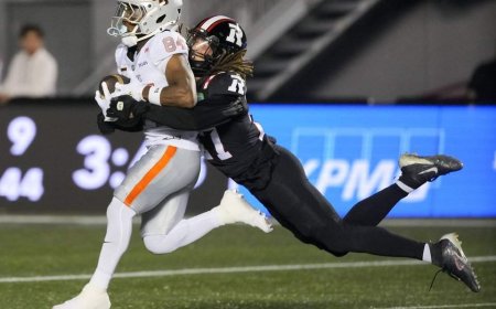 Playoffs on the line as Lions host Redblacks