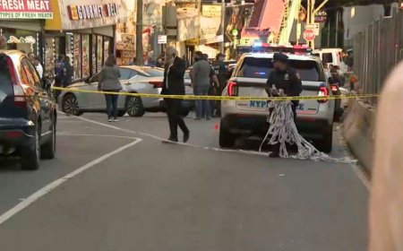 ICE agents involved in Bronx shooting that leaves 1 person injured: NYPD