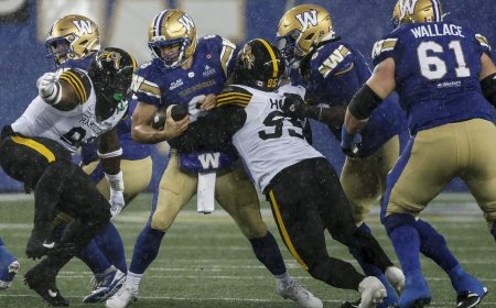 Winnipeg Blue Bombers QB Zach Collaros intends to play on Saturday