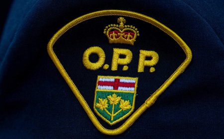 Police investigate small plane crash in field near Fergus, Ont.