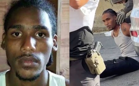 ICE: Illegal Alien Shot in NYC ‘Weaponized His Vehicle,’ Rammed Cars, Accelerated Toward Officers Before Shooting