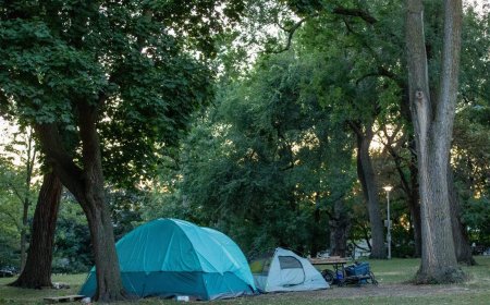 Ontario’s top court paves way to reopen challenge of Hamilton’s anti-encampment law