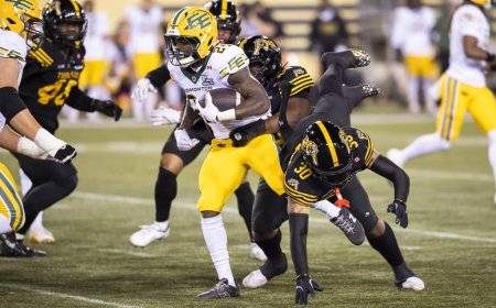 Elks score fourth-quarter TDs to down Ticats 27-12