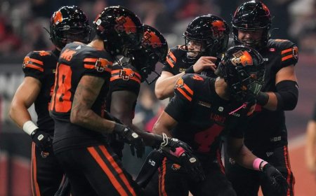 Lions clinch playoff spot with win over Redblacks