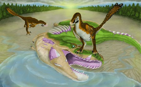 University of Alberta researchers find evidence raptor may have fed on apex predator
