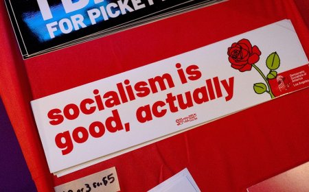 Socialists set sights on the ground floor of government as GOP warns of bigger plan unfolding