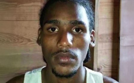 Federal Judge Blocks Deportation of Illegal Alien Who Rammed ICE Vehicles in NYC