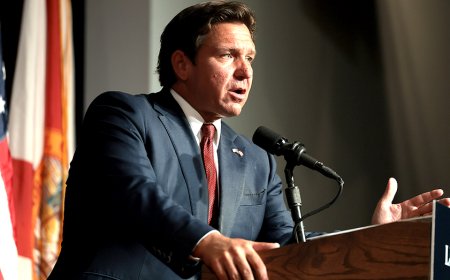 Ron DeSantis deploys an army of linemen as Florida races to clear roads, restore power after Isaias' landfall