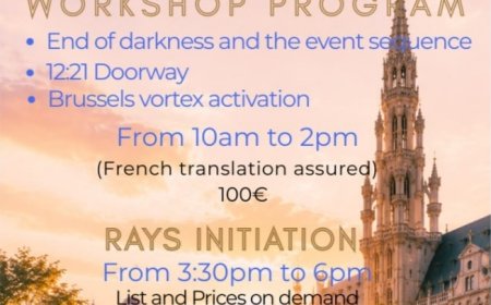 OFFICIAL NOTES : Cobra’s “NEW PARADISE” Workshop in Brussels/Belgium September 2026(Negative/Positive Timelines, European Union, Planetary Situation,Brussels Vortex Activation,End of suffering…)