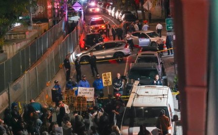 Judge Blocks Deportation of Illegal Immigrant Who Tried To Run Over ICE Agents