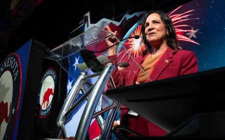 Minnesota GOP chair blasts progressive group over KKK-themed sign shown during Black House speaker's remarks