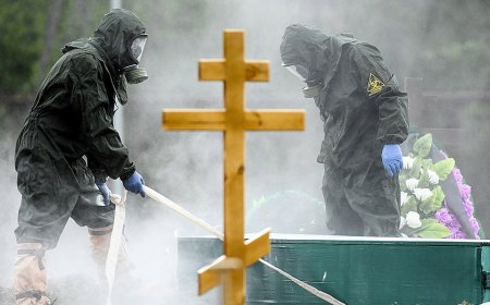 WATCH: CDC director discusses US government response to Russian plague concerns: 'We are protected'