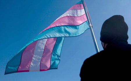 Daughters of the American Revolution axes chapter that challenged transgender membership