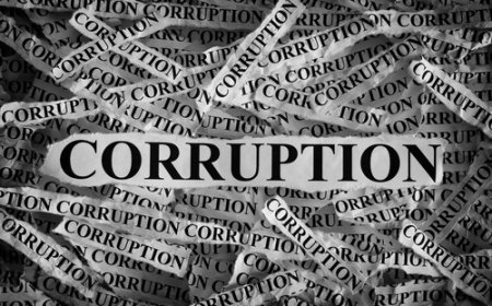 Washington Loses Up to Half a Trillion Dollars Every Year to Fraud