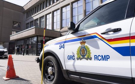 Pedestrian dead following early morning collision near Moncton, N.B.