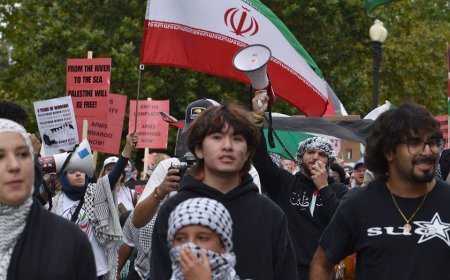 Quiet part out loud: Anti-Israel mobs want one state called 'Palestine,' erasing Israel