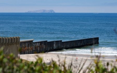 Mob of Illegals Caught Swimming to California