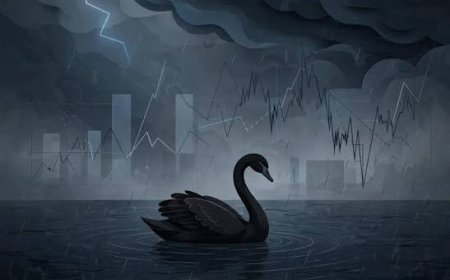 Numerous Black Swans and the Minsky Moment